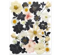 Black Dried Pressed Flowers for Resin Molds,YouthBro Real Natural Pressed Flowers for DIY Art Crafts,Candle Making, Nails Décor,Soap Making, Phone Case