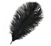 Black Feathers, Ostrich Feather (6 to 7 inches) x 2, Crafts, Costumes, Weddings, Hats etc