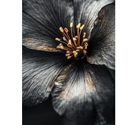 black flower Diamond Art Kits for Adults, 5D Full Drill Crystal Diamond Painting Complete Set, Cross Stitch Mosaic Gem Art Craft for Home Wall Decor 14x20 in, Modern Adult Crafts Relaxing Gifts 0j-292