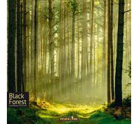 Black Forest Board Game