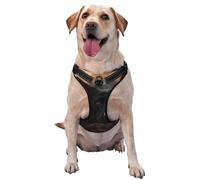 Black German Shepherd Bokeh Autumn German,Pet Harness,Adjustable Reflective Dog Harness,Pet Leash Vest,XL