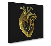 Black Gold Anatomical Heart Canvas Print | Gallery Wrapped 30mm Frame Wall Art | 14x14 inches | Ready to Hang | Modern Picture | Living Room Bedroom Lounge Office