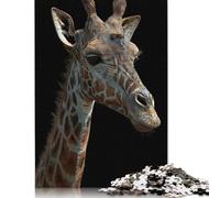 Black & Gold Labrador Puzzles for Adults & Teenagers Wood Puzzle Jigsaws for Adults Secret Santa Gifts 1000pcs (75x50cm)