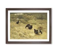 Black Grouse By Bruno Liljefors Classic Painting Framed Print | A2 Walnut Framed Wall Art | Ready to Hang | Classic Historical Picture | Living Room Bedroom Lounge Office