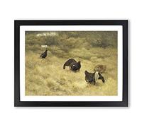 Black Grouse By Bruno Liljefors Classic Painting Framed Print | A4 Black Framed Wall Art | Ready to Hang | Classic Historical Picture | Living Room Bedroom Lounge Office
