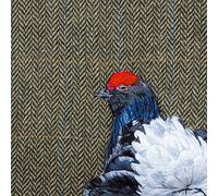 Black grouse on Herringbone 150mm Square Greetings Card by Sarah J Perry