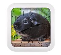 Black Guinea Pig Square Wall Clock Non-Ticking Battery Operated For Home Office School 26x26cm
