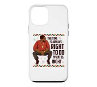 Black History King Dad Men Women Toddlers Kids Boys Girls Case for iPhone 12 mini