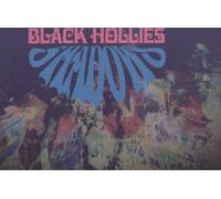 Black Hollies - Casting Shadows [Vinyl LP] [VINYL]