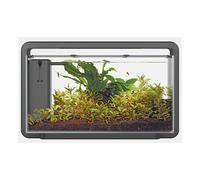 Superfish Home 30 Black Freshwater Aquarium