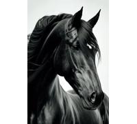 Black Horse: Beautiful Horse Internet Address and Password Logbook with Alphabetical Tabs and Index (Discreet) | Black Horse Password Organizer Book