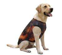 Black Horse Galloping through Flames Dog Clothes Sleeveless Pet Vest Cute Costume Coat Tee Jacket for Large Dogs