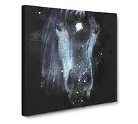 Black Horse In The Shadows Paint Splash Modern Canvas Wall Art Print Ready to Hang, Framed Picture for Living Room Bedroom Home Office Décor, 20x20 Inch (50x50 cm)