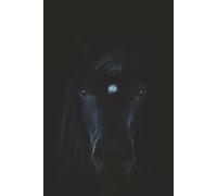 Black Horse Notebook: Blank Lined Black Horse Notebook for All Ages, Animals, Horse Riding | 6x9 inches, 110 pages | Gifts for Birthdays, Christmas, Thanksgiving and more
