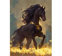 Black Horse Paint by Numbers Kits for Adults, Craft Art Painting by Number Kid Grassland, DIY Color Oil Painting Acrylic Pigment Drawing, Apply to Home Wall Decor, with Frame, 25x30cm A-177
