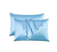 Black Horse Silk Satin Pillow Cases 2 Pack SKY-BLUE,Silky Pillowcases Soft and Cozy Standard Pillow Covers Dyed in Trendy Colors-Size (50 x 75 cm)