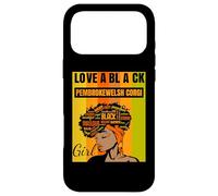 Black Independence Day - Pembroke Welsh Corgi Girl Case for iPhone 17 Pro Max