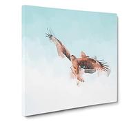 Black Kite Bird Canvas Print | Gallery Wrapped 30mm Frame Wall Art | 20x20 inches | Ready to Hang | Modern Animals Picture | Living Room Bedroom Lounge Office