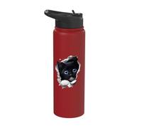 Black Kitten Blue Eyes - Peeking Through Hole Stainless Steel Insulated Water Bottle