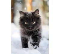 Black Kitten in the Snow Christmas Greeting Card 125mm x 178mm - Including Envelope - GC712