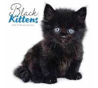 Black Kittens Calendar 2026