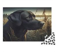 Black Lab Dog Puzzle for Adults & Age 14 Up: Black Dog in Grass Fun Present & Activity for Home Gift 38x26cm/1000pcs