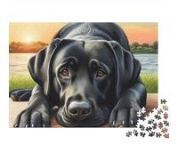 Black Lab Dog Resting 1000 Pc Thick Cardboard Jigsaw Puzzle for Teens 12-18, Brain Training Puzzle, Holiday Activity, Thoughtful 38x26cm/1000pcs