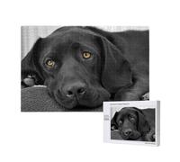Black Lab Labrador Dog Puppy Cute Dog,1000 Pieces Wooden Jigsaw Family Game Jigsaw Puzzles for Adults Teens Home Decor