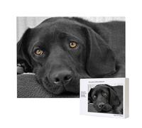 Black Lab Labrador Dog Puppy Cute Dog,500 Pieces Wooden Jigsaw Family Game Jigsaw Puzzles for Adults Teens Home Decor