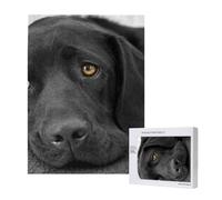 Black Lab Labrador Dog Puppy Cute Dog,500 Pieces Wooden Jigsaw Family Game Jigsaw Puzzles for Adults Teens