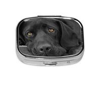 Black Lab Labrador Dog Puppy Cute Dog,Meta Pill Box 2 Compartment Medicine Case,Portable Organizer,Rectangle Meta Portable Organizer Pill Box 884 Compartment Medicine Case