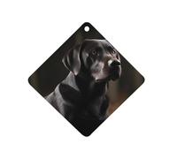 Black Labrador Car Air Freshener Hanging, Long Lasting Scented Car Aromatherapy Tablets, Rhombus Fragrance Scented Cards for Vehicles, Bedroom, Wardrobe Black-style