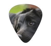Black Labrador Chamomile Black Retriever Dogs,12 Pcs Guitar Pick,3 Different Thickness Plectrums for Acoustic Guitar Bass Ukulele (0.46mm 0.96mm 0.71mm)