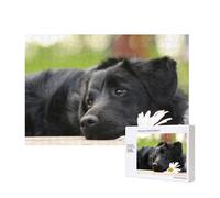 Black Labrador Chamomile Black Retriever Dogs,300 Pieces Wooden Jigsaw Family Game Jigsaw Puzzles for Adults Teens Home Decor