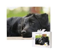 Black Labrador Chamomile Black Retriever Dogs,500 Pieces Wooden Jigsaw Family Game Jigsaw Puzzles for Adults Teens Home Decor