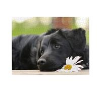 Black Labrador Chamomile Black Retriever Dogs Adults 500 Pieces Puzzles-Jigsaw Wooden Puzzle for Adults Elderly