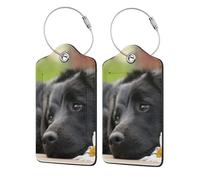 Black Labrador Chamomile Black Retriever Dogs,Luggage Tags Pu Leather Name Tag Travel Suitcase Identifier ID Tags Durable Luggage Label 2 pcs