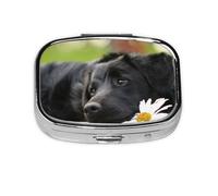 Black Labrador Chamomile Black Retriever Dogs,Meta Pill Box 2 Compartment Medicine Case,Portable Organizer