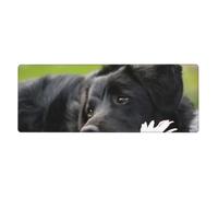 Black Labrador Chamomile Black Retriever Dogs,Mouse Pad Large Desk Pad Computer Keyboard Mouse Mat With Non Slip Rubber Base 30 x 80 cm