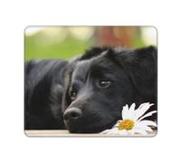 Black Labrador Chamomile Black Retriever Dogs, Mouse Pad, Non-Slip Rubber Base Mouse Pad,Waterproof Mouse Mat
