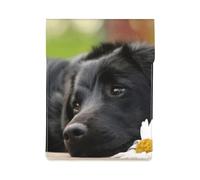 Black Labrador Chamomile Black Retriever Dogs, PU Leather Laptop Sleeve, Notebook Bag Laptop Case Sleeve Tablet Briefcase