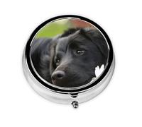 Black Labrador Chamomile Black Retriever DogsMeta Pill Box 3 Compartment Medicine Case,Portable Organizer