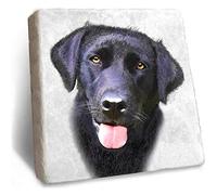 Black Labrador Coaster - Rustic Natural Marble Coaster by Stone Rebellion (Black Labrador)