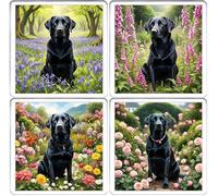 Black Labrador Coaster Set. 4 different images of Black Labrador Dogs on 10cm x 10cm acrylic coaster mug mats. Boxed for gifting