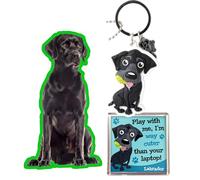 Black Labrador Dog Lovers Keyring Gift Set. Key Ring, Fridge Magnet and Car Air freshener.