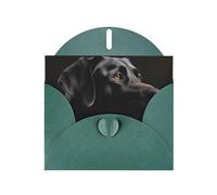 Black Labrador Greeting Cards Blank Note Cards with Envelopes Happy Birthday Card Thank You Card Wedding Party Invitation Cards for All Occasions 4x6 Inch