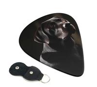 Black Labrador Guitar Picks 6 Pack with Leather Guitar Pick Holder Keychain, Plectrum Key Fob Cases Bag, Abstract Art Plectrum for Acoustic Electric Guitar, Ukulele 0.46mm