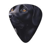 Black Labrador Guitar Picks Gift Set - Smooth Durable Plectrums For Acoustic, Electric & Bass Guitar, Perfect Present For Guitar Lovers & Musicians