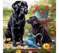 Black Labrador in Garden 11ct Counted Cross Stitch Stamped Pre Printed Cross Stitch Embroidery Kits for Adults Starter DIY Embroidery Needlework Kit with Patterns 50×50cm(c-j194)