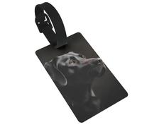Black Labrador Luggage Tags, Durable Suitcase Tags, Luggage Tags with Name ID Cards, Travel Accessories
